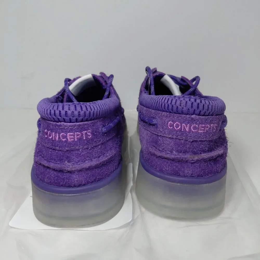 Sperry concepts eye
